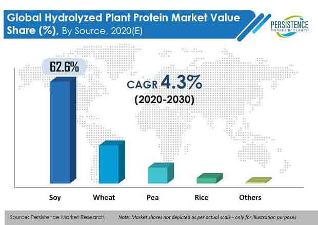 水解植物蛋白市场
